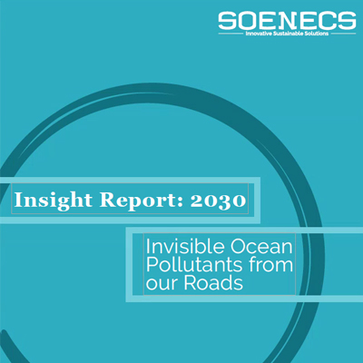SOENECS report 2021