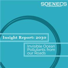 SOENECS report 2021
