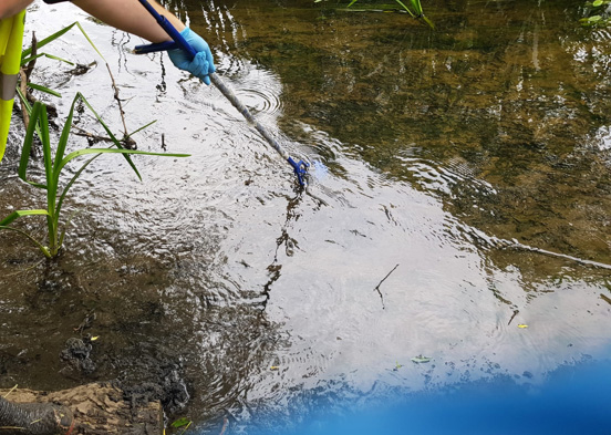 Taking samples of sediment downstream