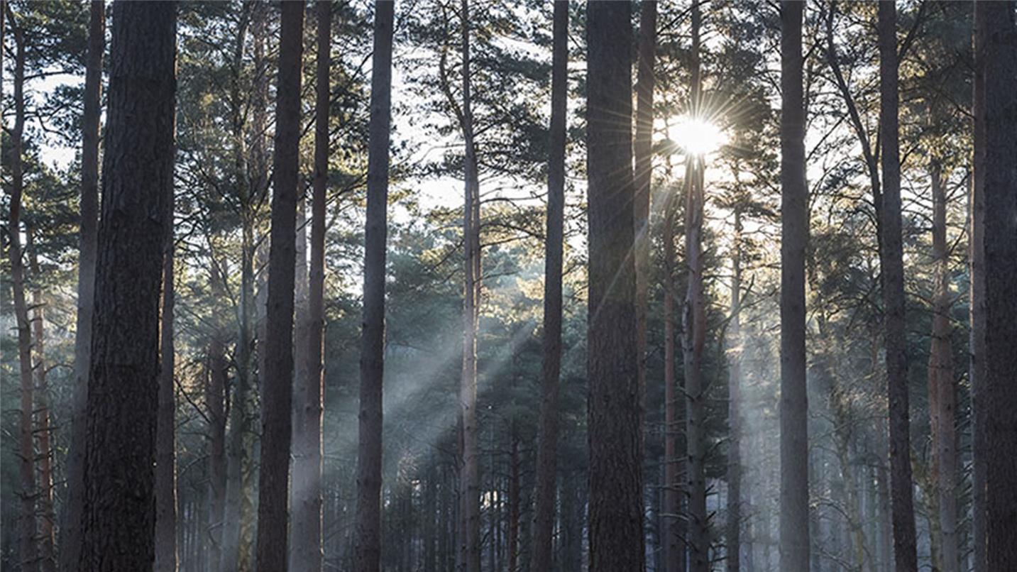 Bracknell Forest Bracknell Forest