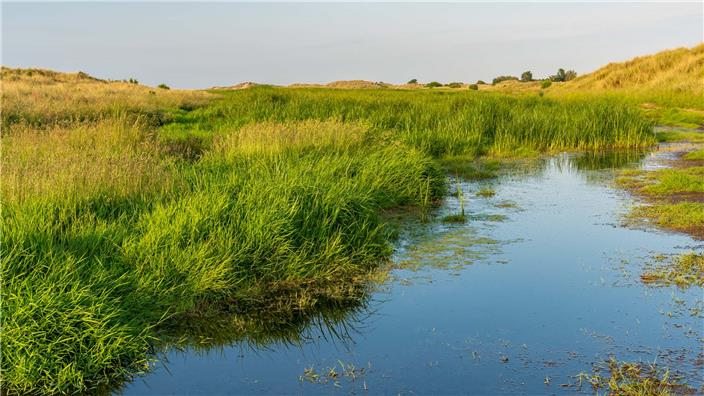 Gronant Dunes, Clwyd, Wales