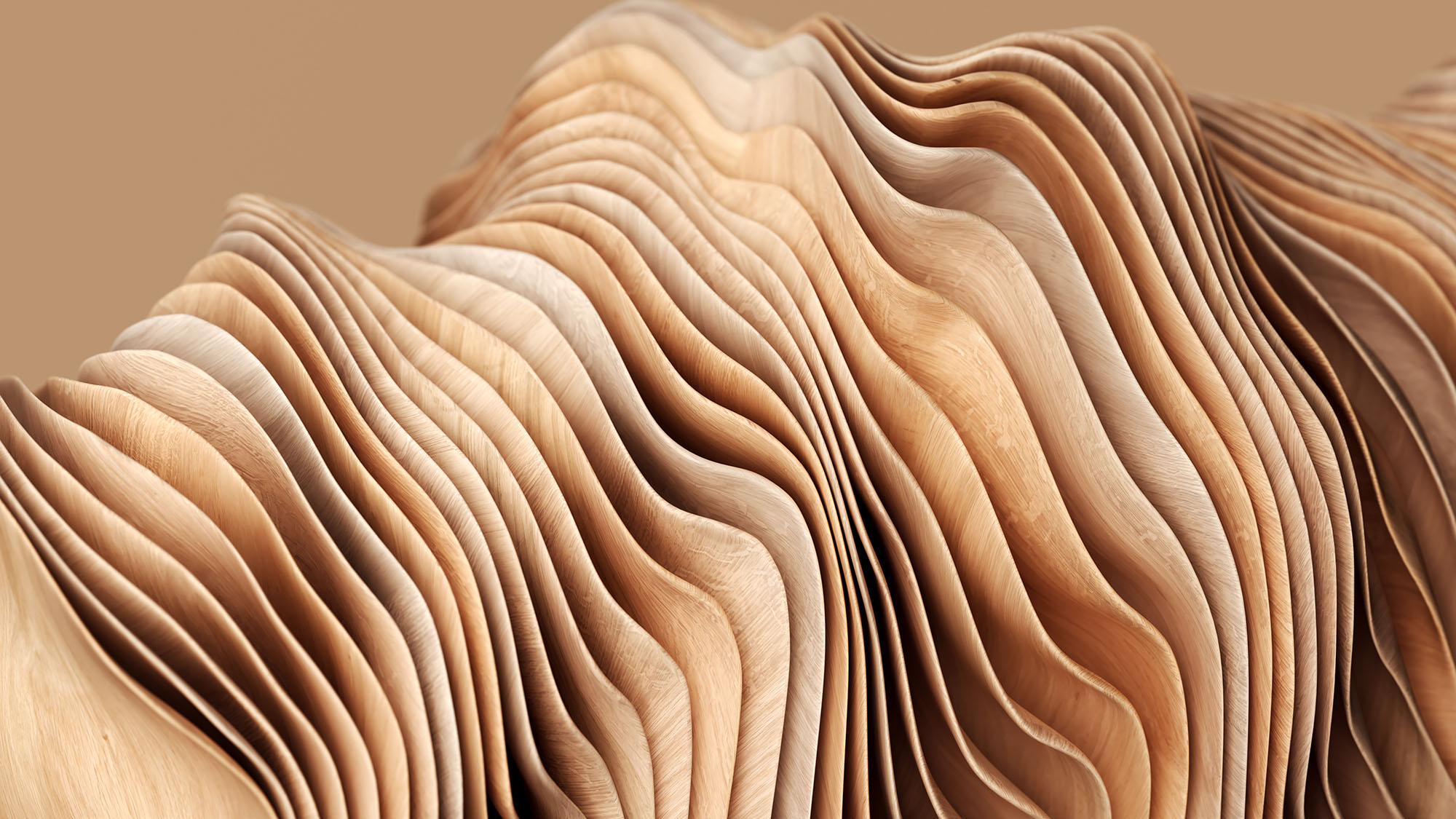 Abstract wood picture