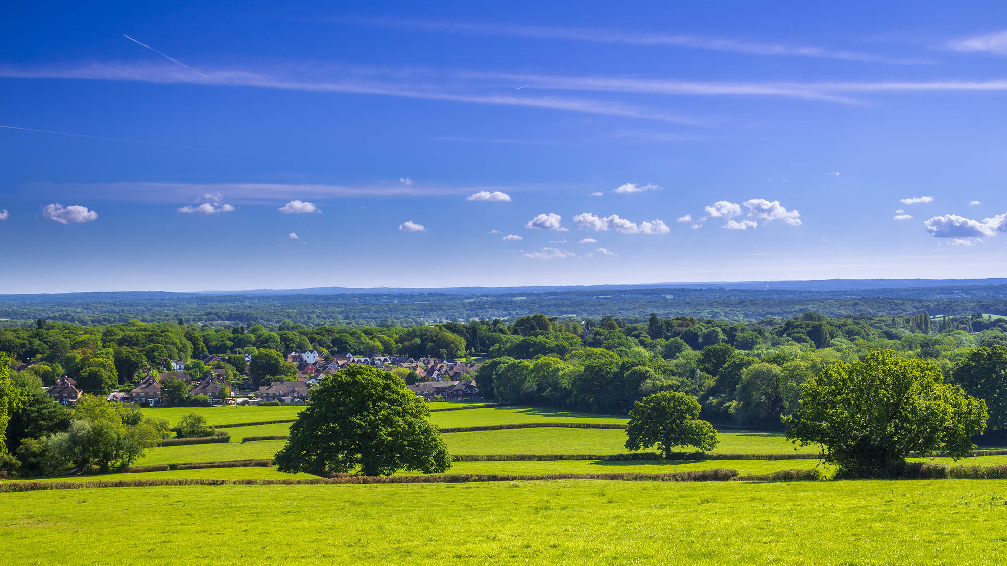 South East waste management