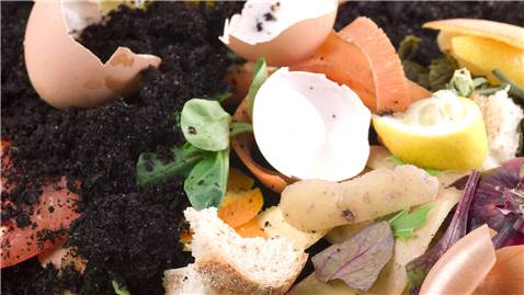 Food waste