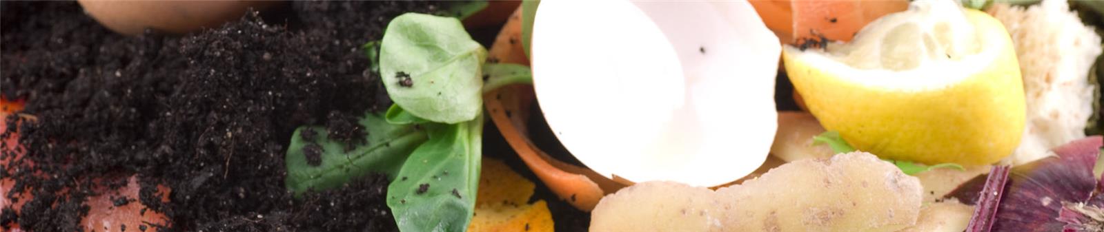 Food waste