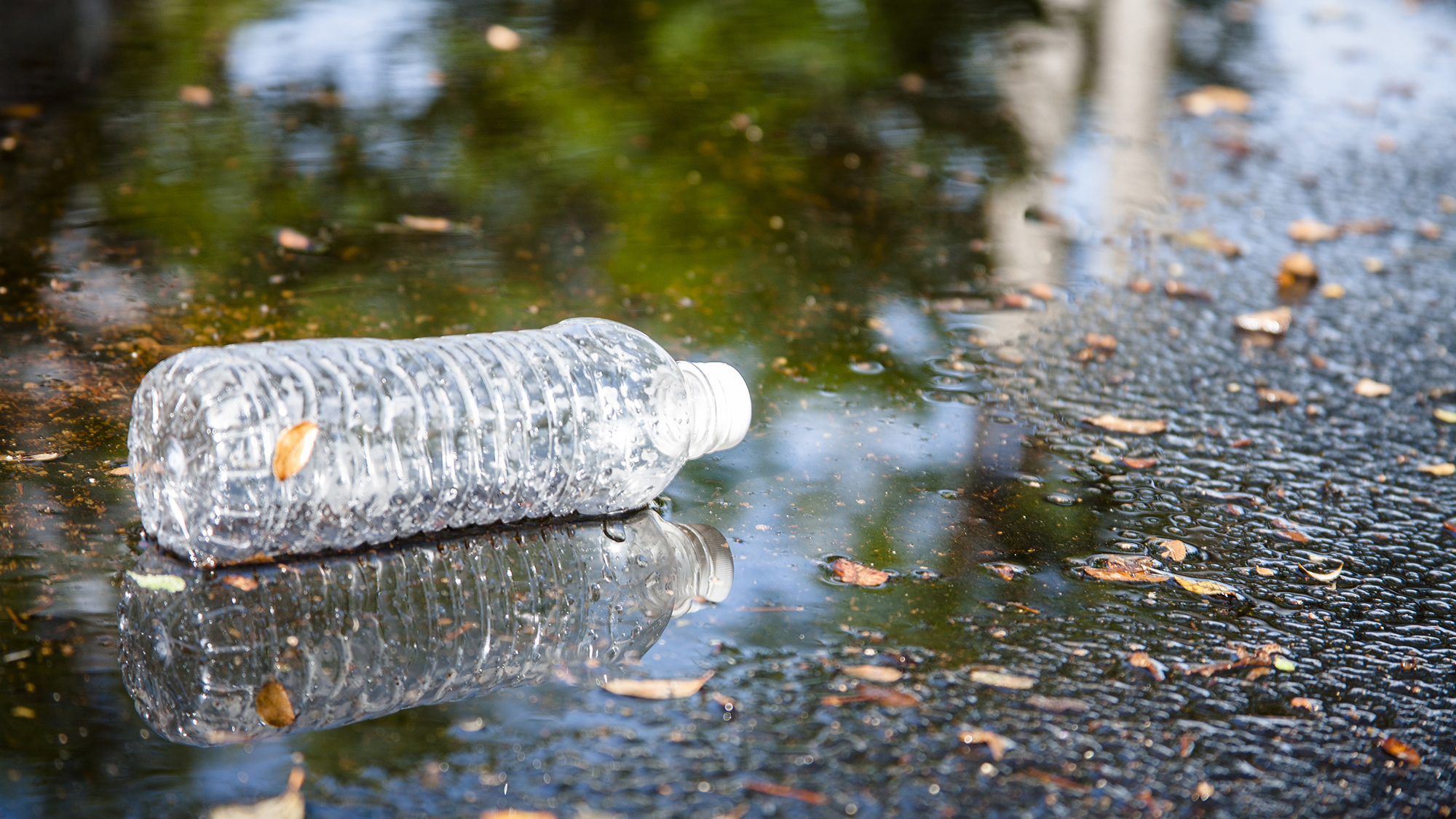 Plastic bottle in puddle Plastic bottle in puddle