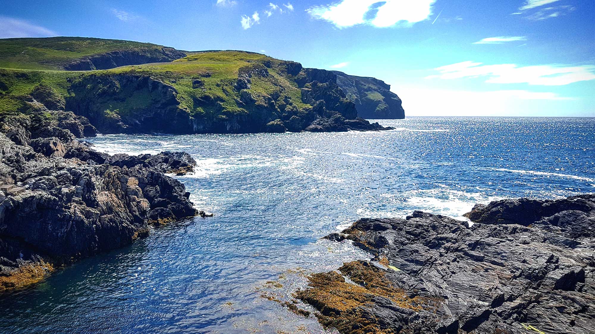 Coast 742341247 UK CW