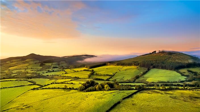 Fields 1190456851 UK CW