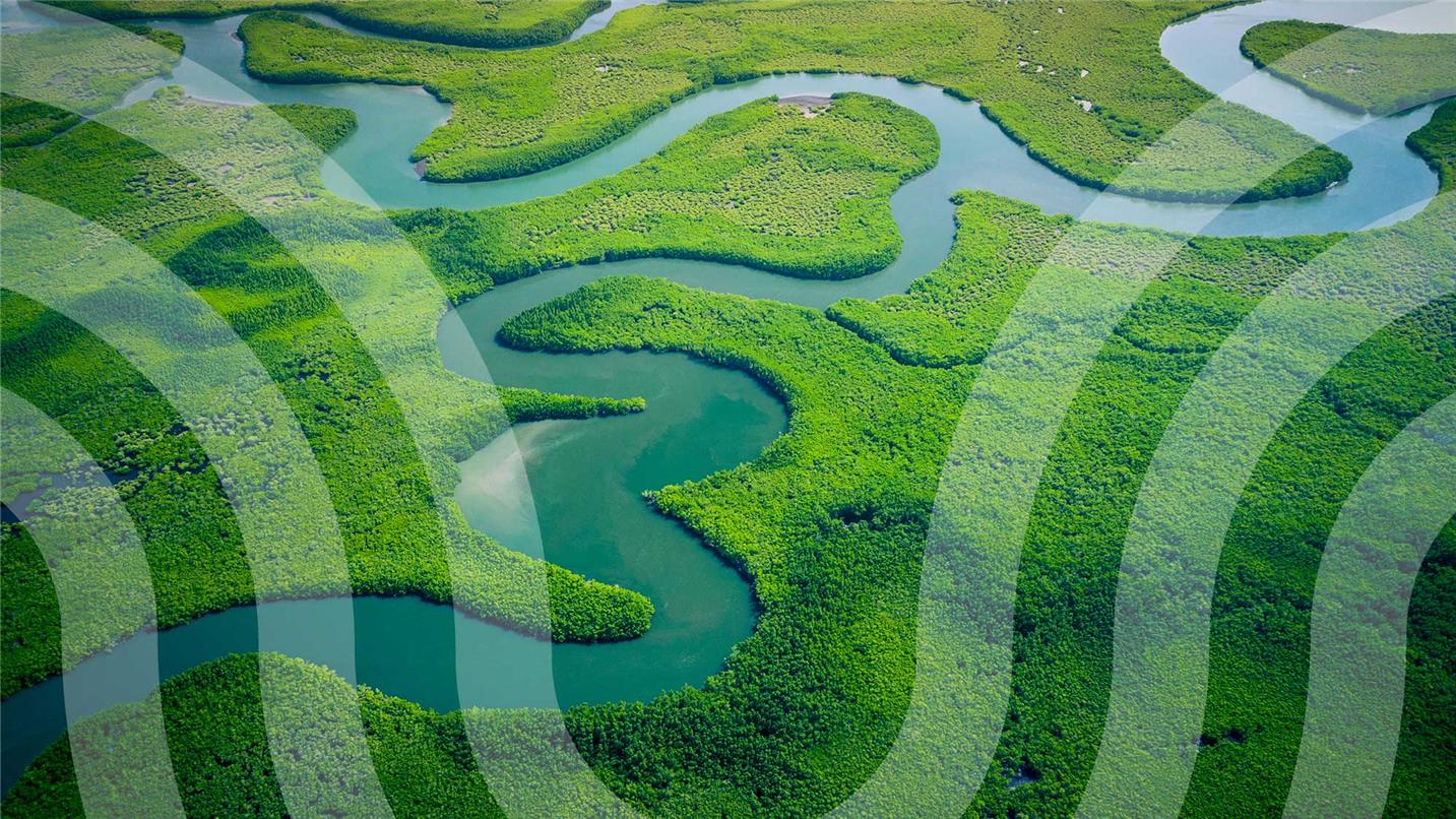 Marshes 1190336132 UK CW S