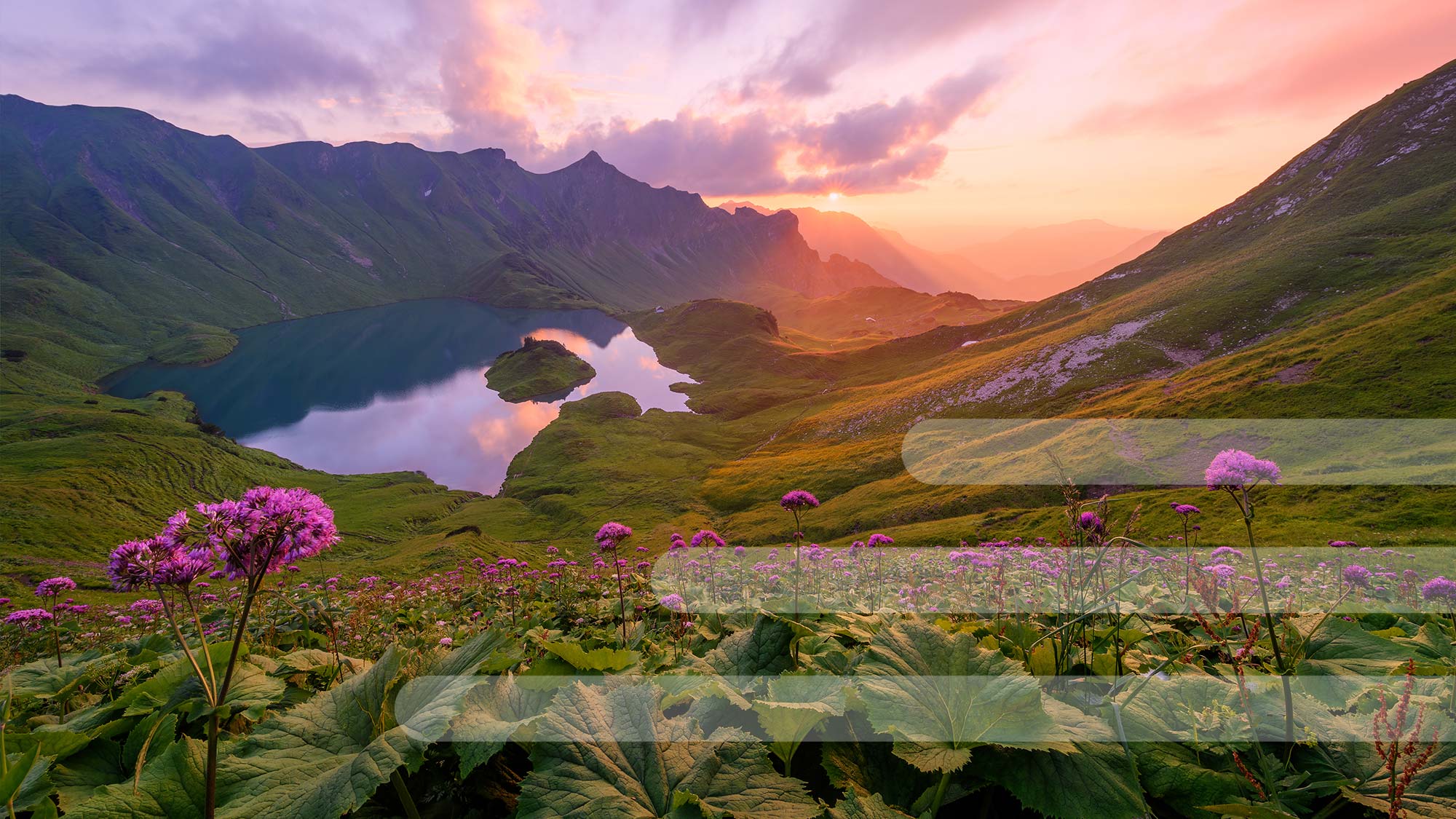 Sunrise 740690311 UK CW S