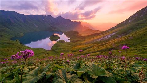 Sunrise 740690311 UK CW