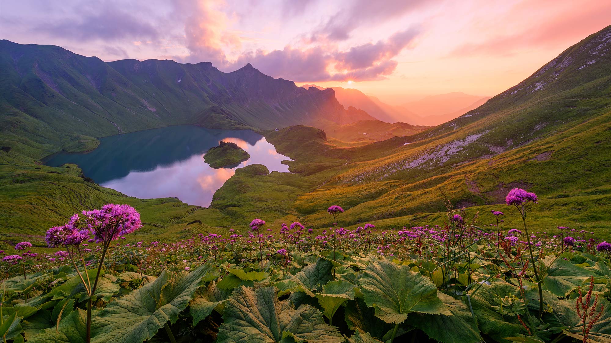 Sunrise 740690311 UK CW