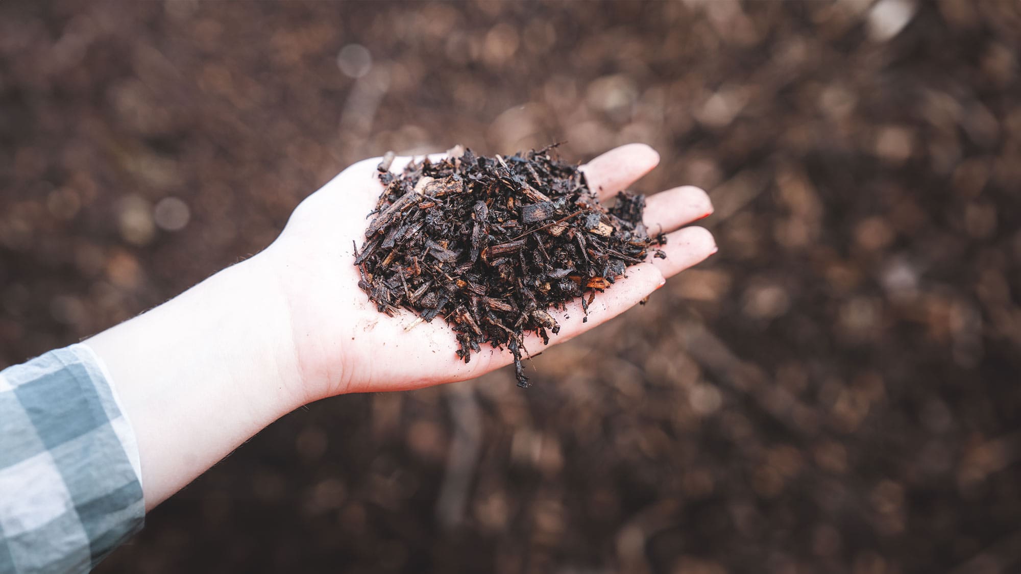 Sliced bread in a plastic bag Bread in a plastic bag
