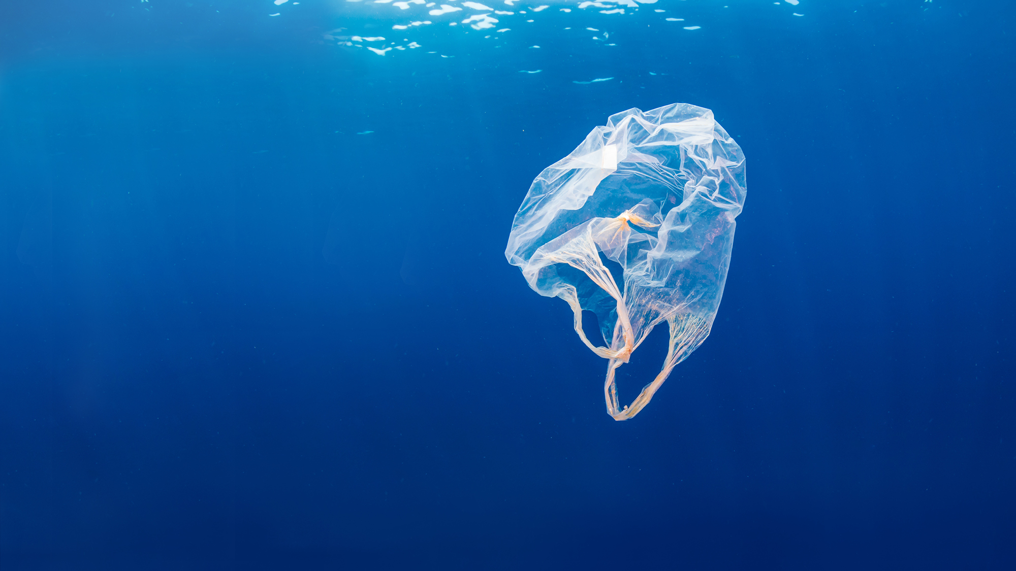 Plastic bag in ocean