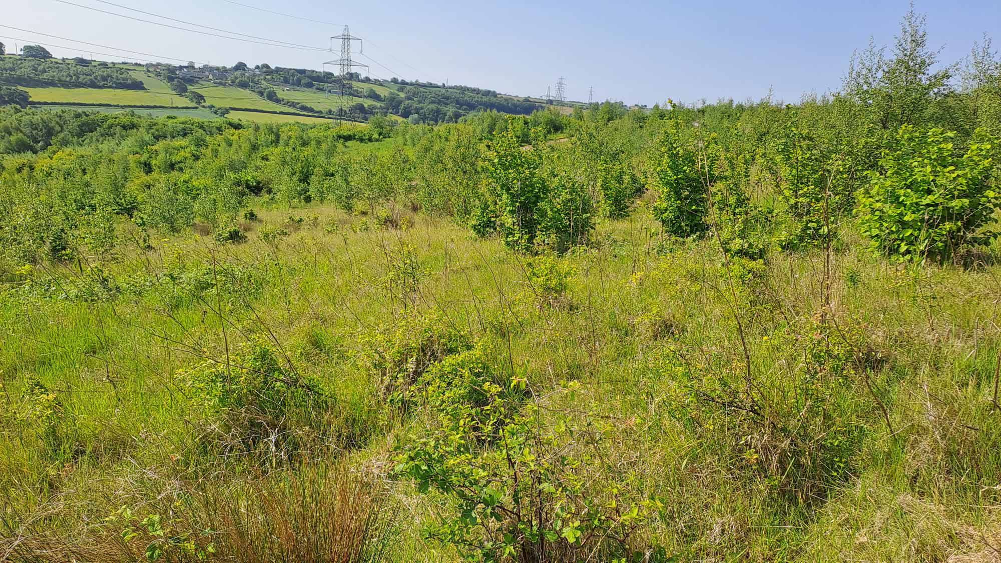 Restored landfill site in Burnhills UK