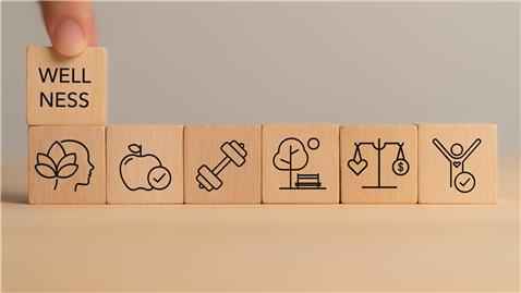 Wellness building blocks