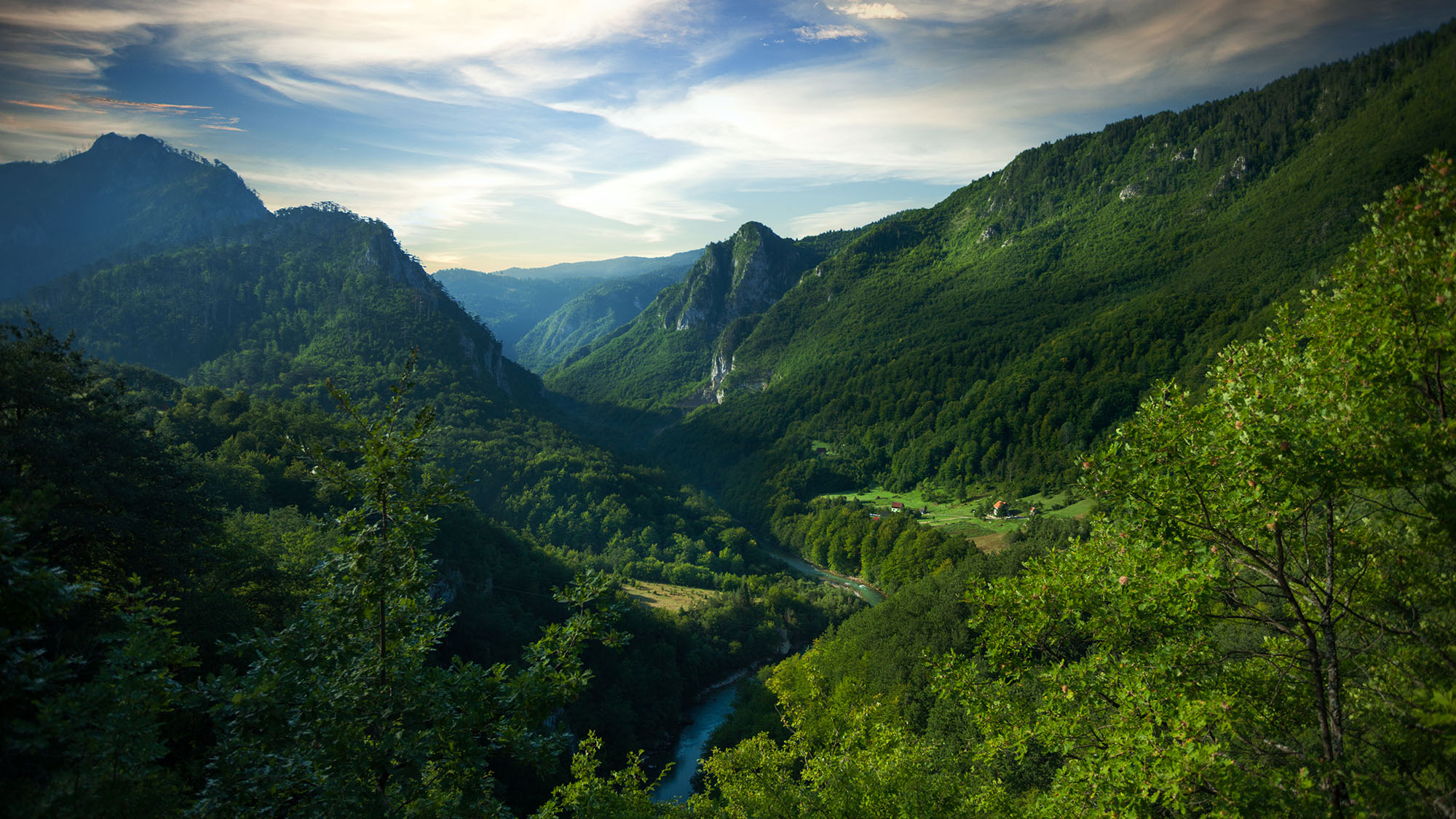 Countryside view