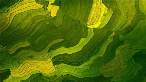 Field pattern from the air