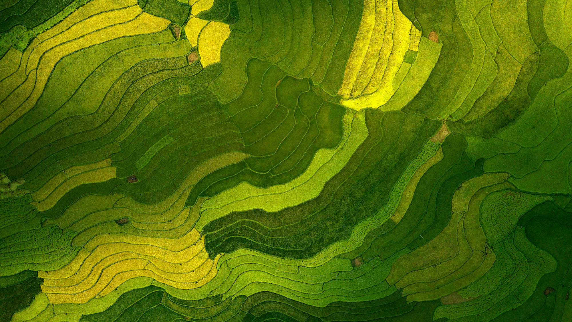 Field pattern from the air