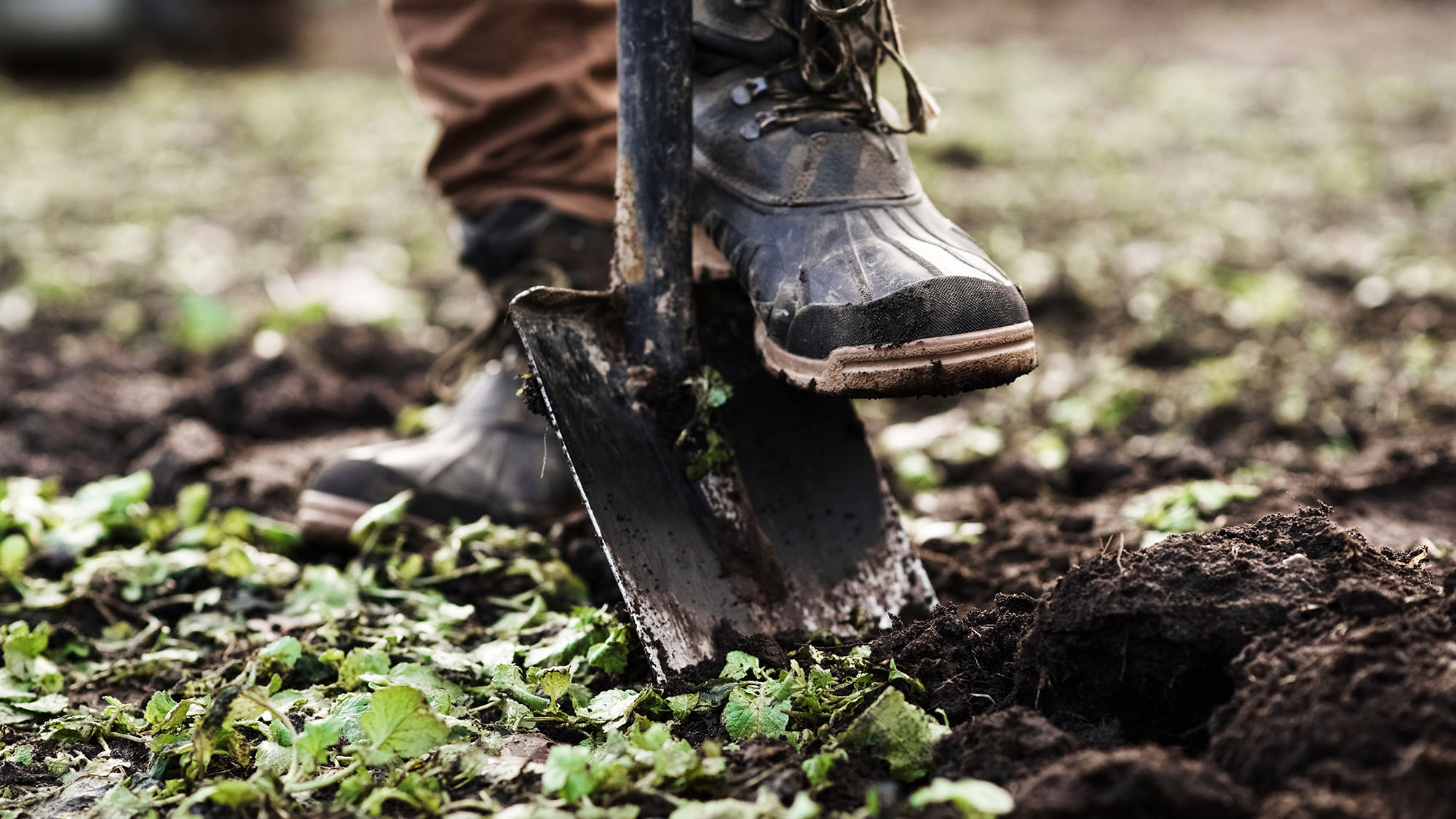 Gardening 943054738 UK CW