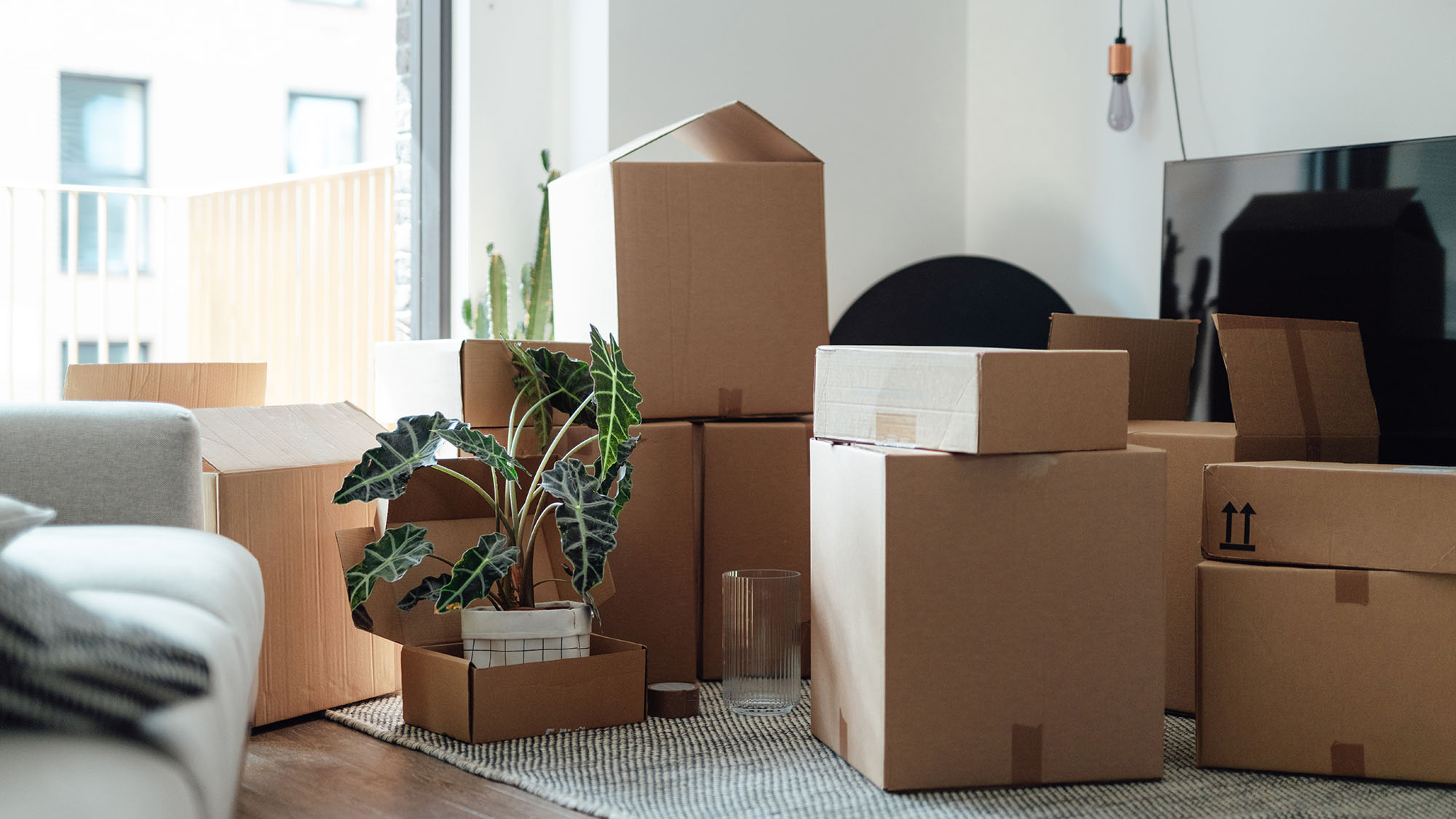 Moving house