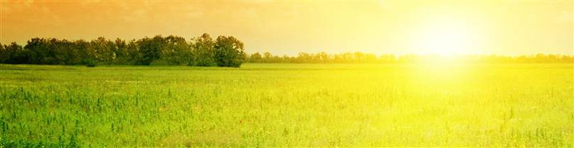 Sun over field