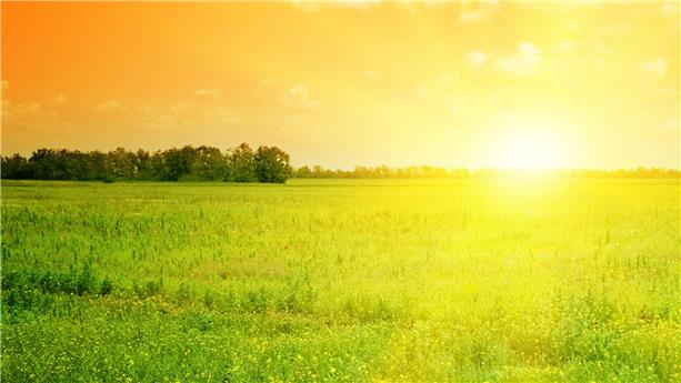 Sun over field Sun over field