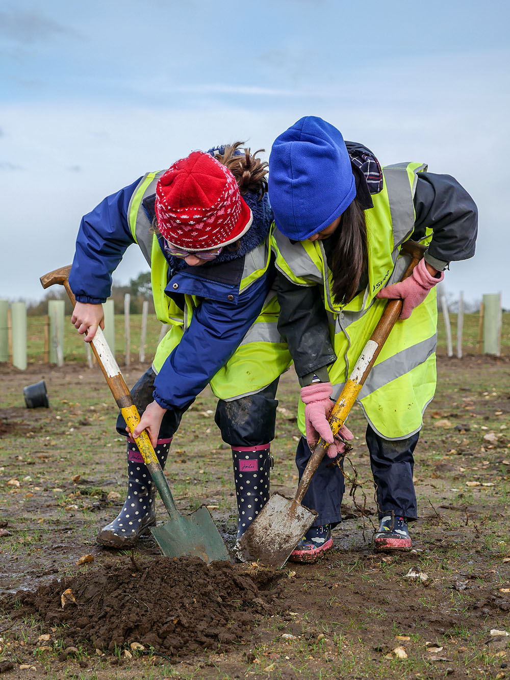 Runfold tree planting in January 2019